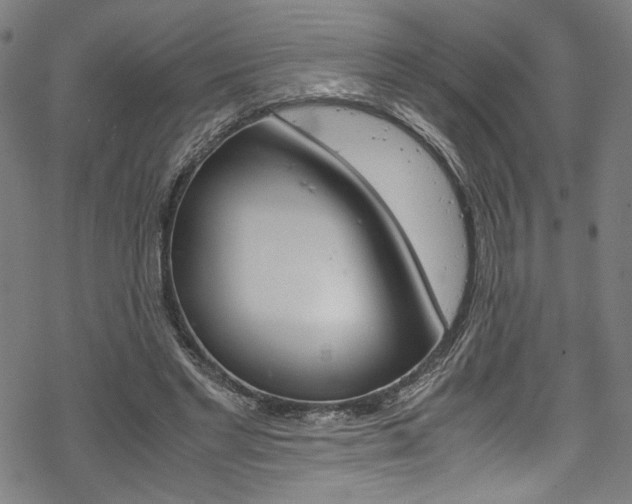 X0000069390493200605120947
