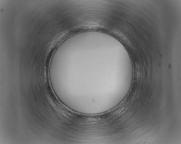 X0000069390494200605120947