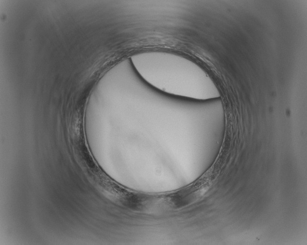 X0000069390499200605120947