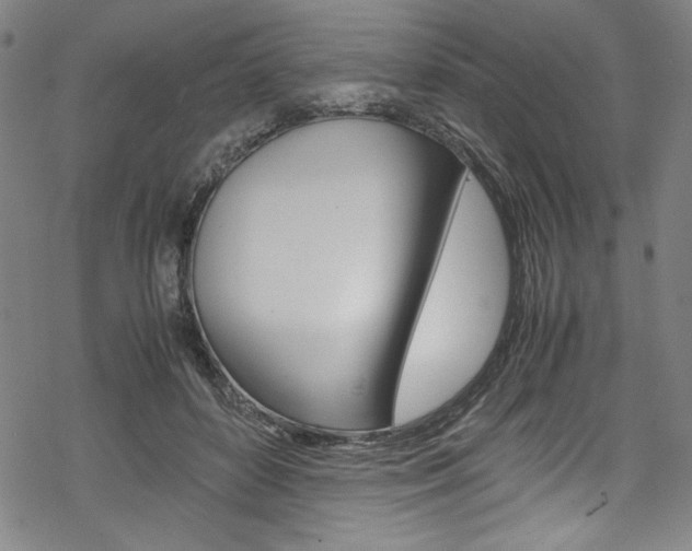 X0000069390504200605120947