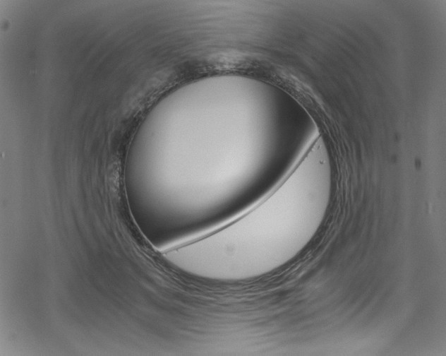 X0000069390509200605120947