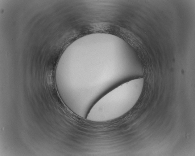 X0000069390514200605120947