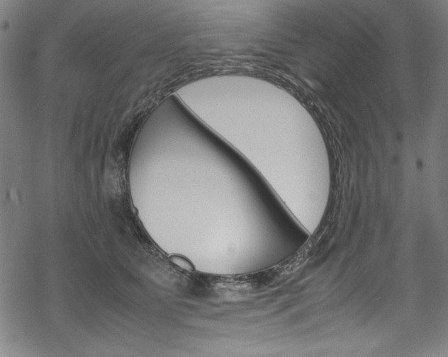 X0000069390515200605120947