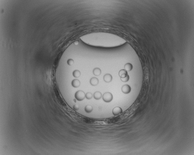 X0000069390519200605120947