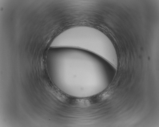 X0000069390520200605120947