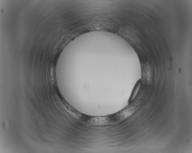 X0000069390526200605120947