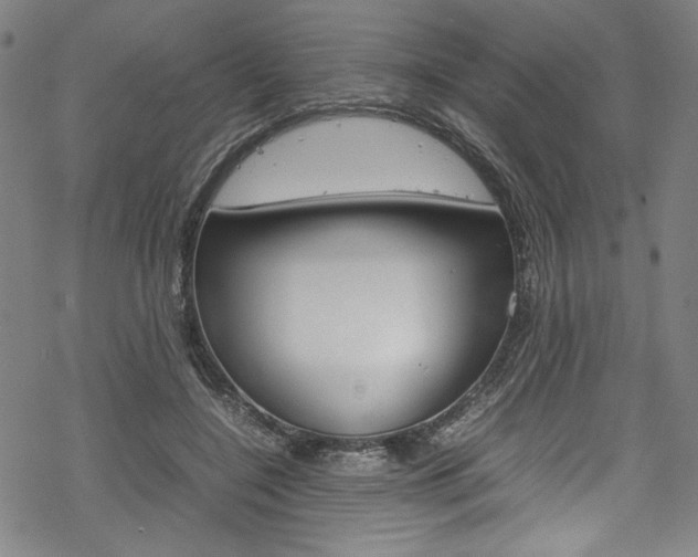 X0000069390548200605120946