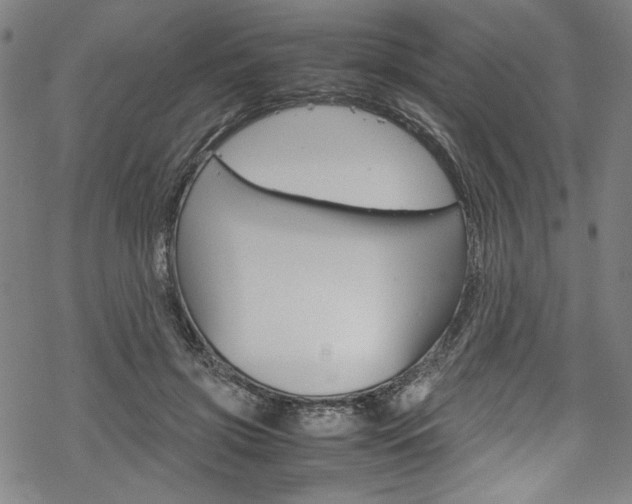 X0000069390549200605120946