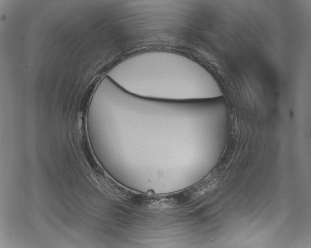 X0000069390550200605120946