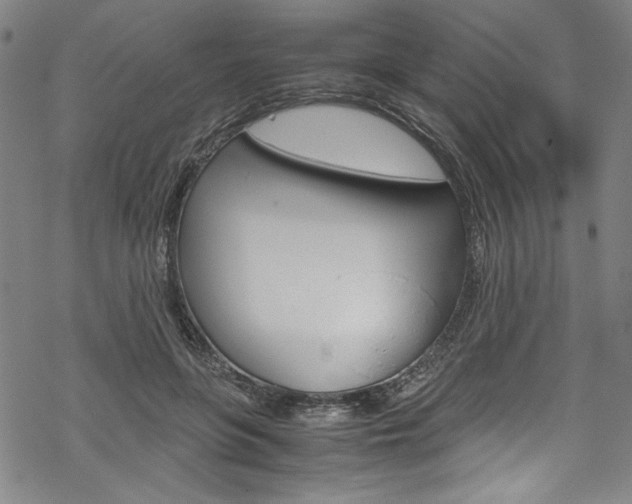 X0000069390551200605120946
