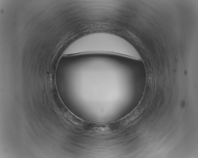 X0000069390552200605120946