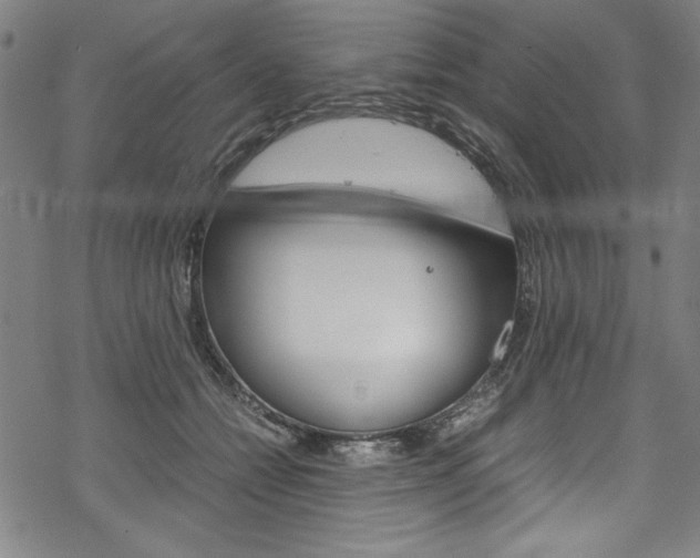 X0000069390558200605120946