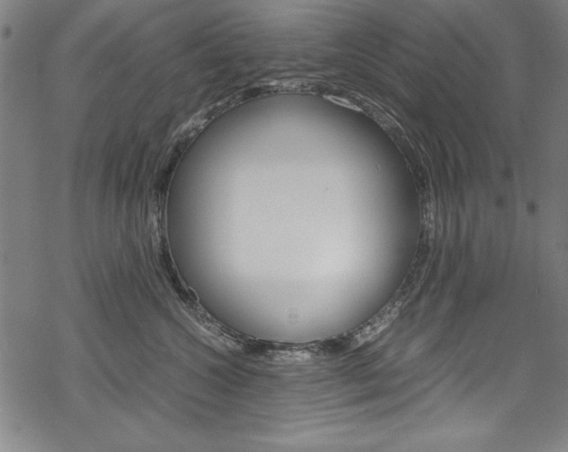 X0000069390572200605120946