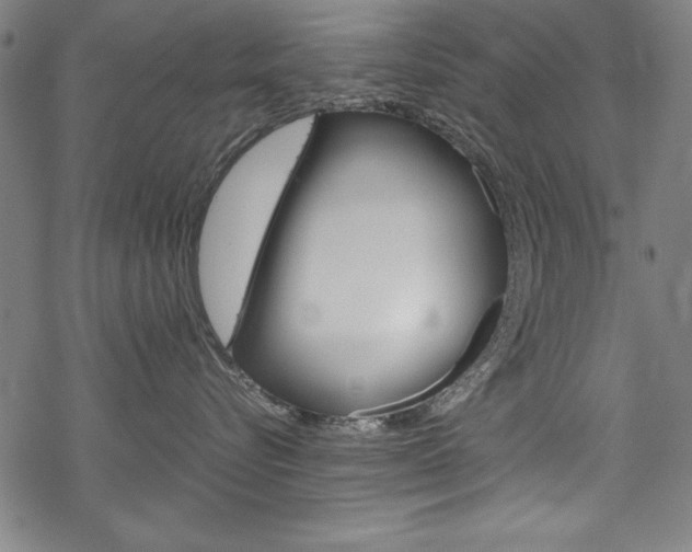 X0000069390576200605120947