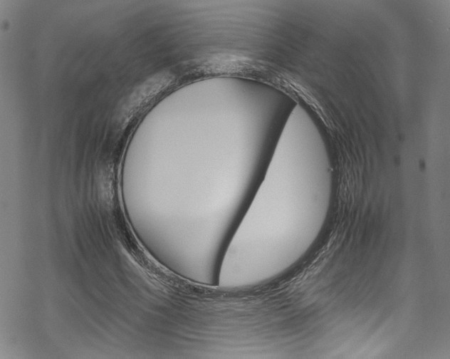 X0000069390586200605120946