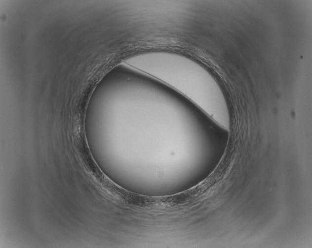 X0000069390593200605120945