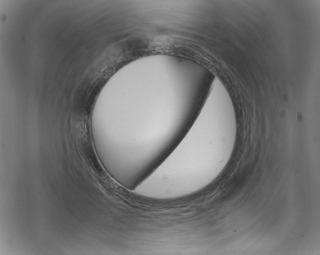 X0000069390603200605120945