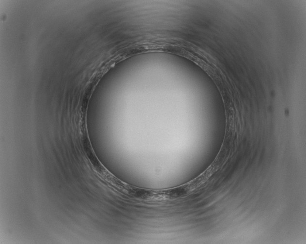 X0000069390604200605120945