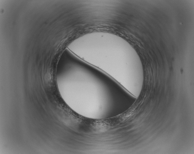 X0000069390608200605120945