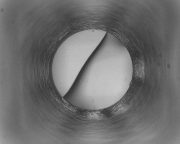 X0000069390618200605120945