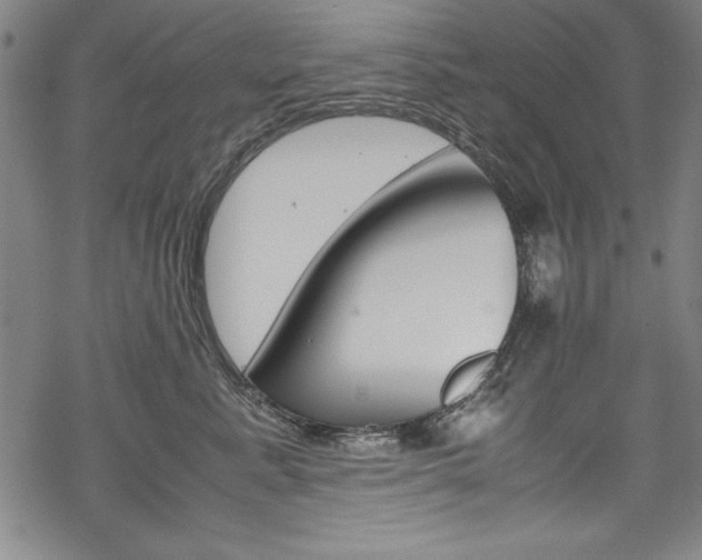 X0000069390619200605120945