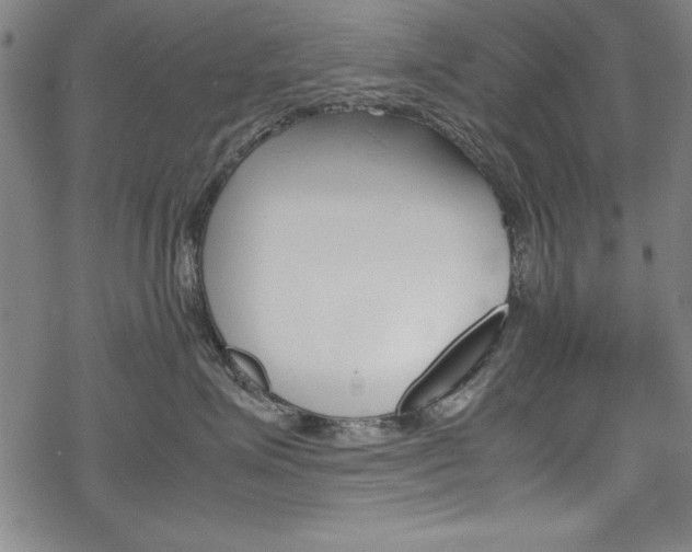X0000069390623200605120945