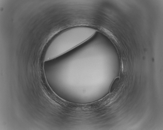 X0000069390627200605120944