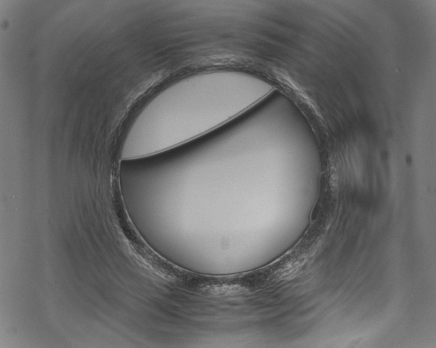 X0000069390637200605120944