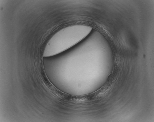 X0000069390645200605120944