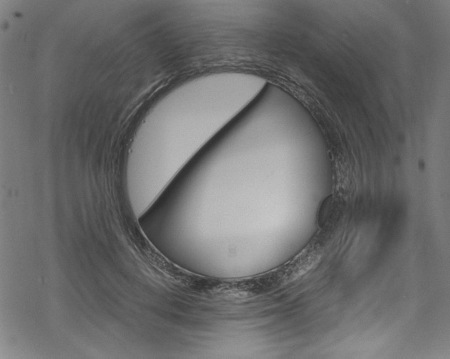 X0000069390648200605120945