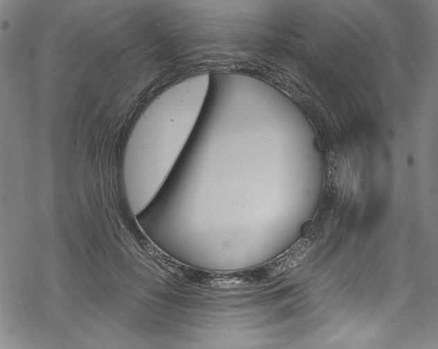 X0000069390650200605120945