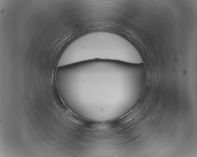 X0000069390652200605120945