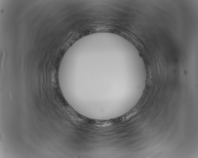 X0000069390667200605120945