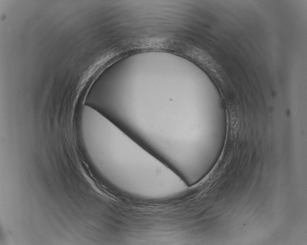 X0000069390674200605120944
