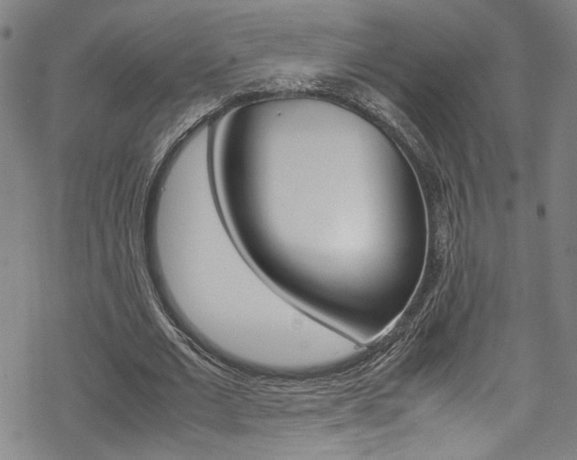 X0000069390677200605120944