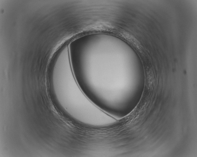 X0000069390680200605120944