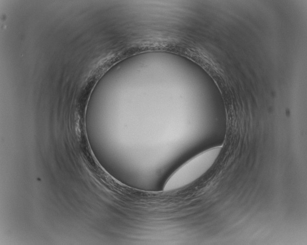 X0000069390692200605120944