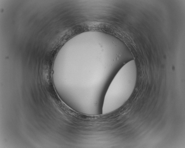 X0000069390698200605120944