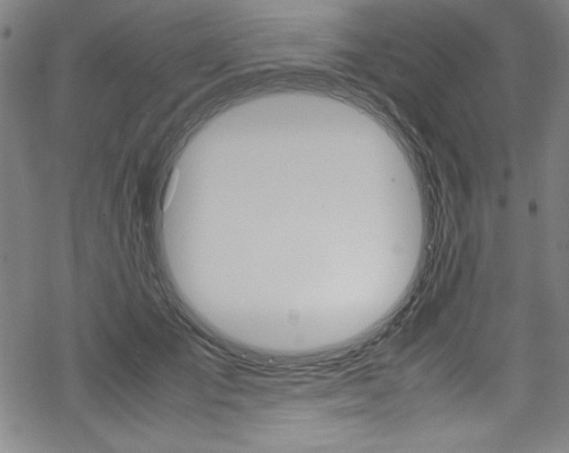 X0000069390701200605120944