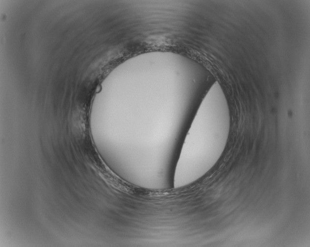 X0000069390710200605120944