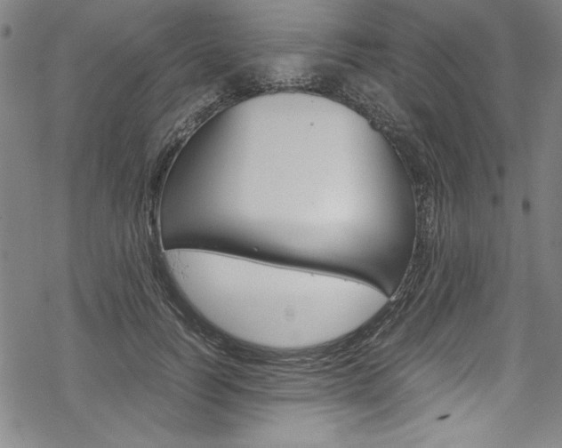 X0000069390746200605120943