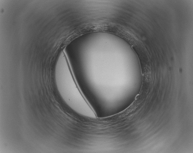 X0000069390748200605120943