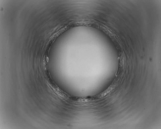 X0000069390764200605120943