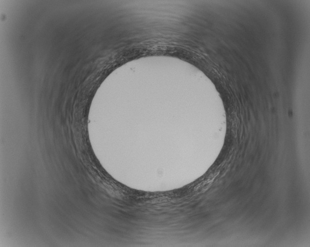 X0000069390769200605120943