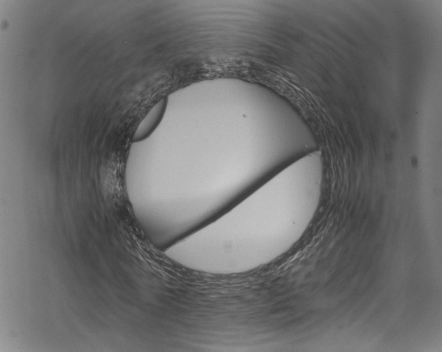 X0000069390770200605120943