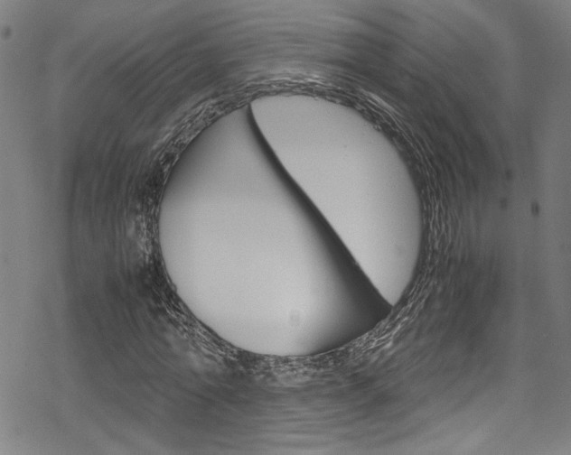 X0000069390774200605120942
