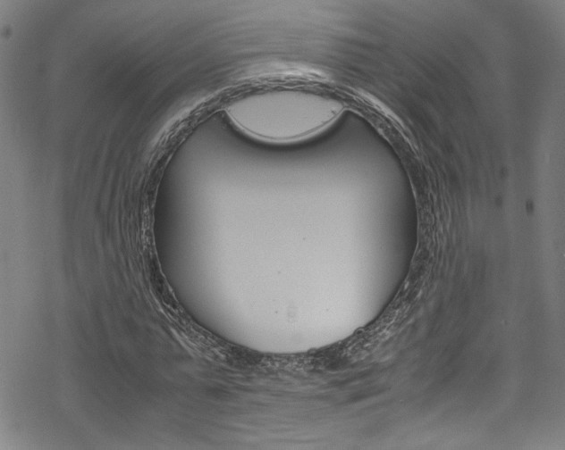X0000069390775200605120942
