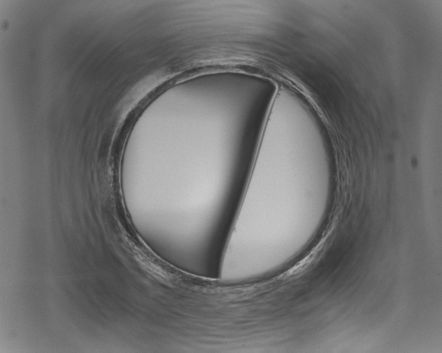 X0000069390779200605120942