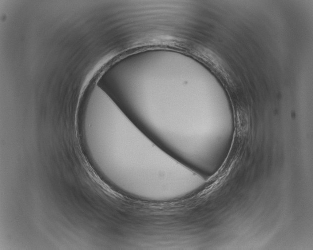 X0000069390780200605120942