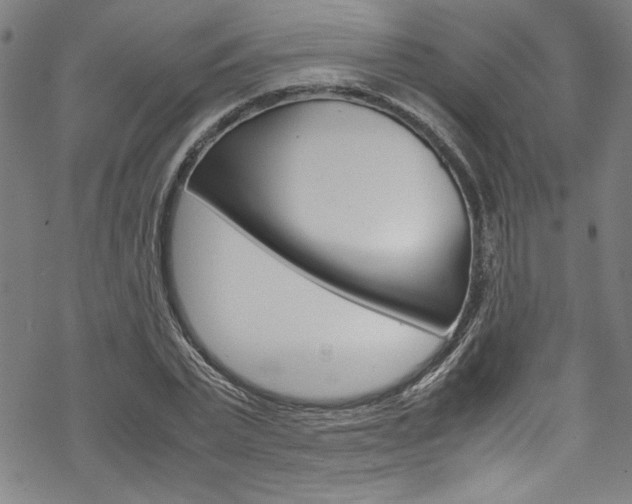 X0000069390783200605120942